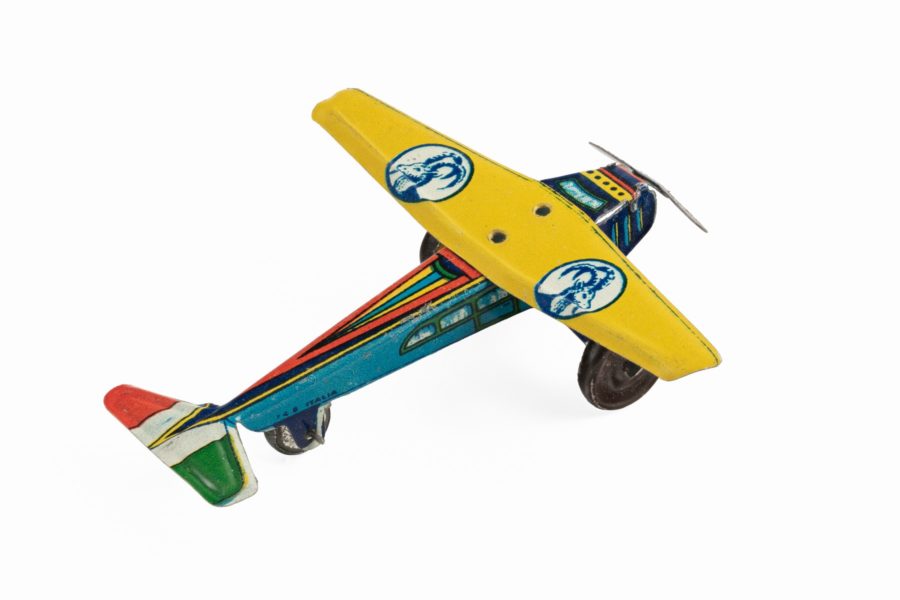Avion aux bouquetins